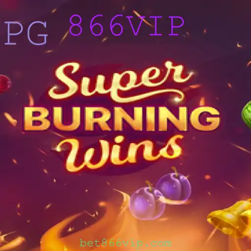 Descubra o Fascinante Mundo de SuperBurningWins